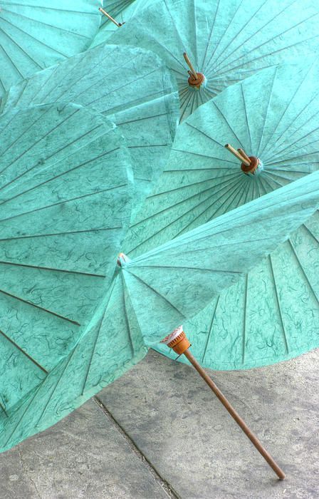 Aqua umbrellas by Douglas Fisher